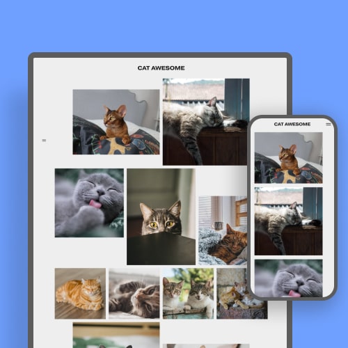 Squarespace template Cat Awesome SquareZavr